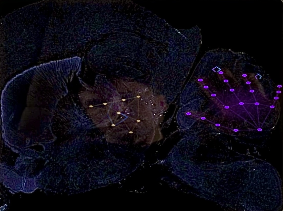 Interactive Experience